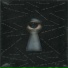Dropy
