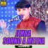 Faheem Ali