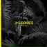 Damasco