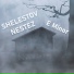 SHELESTOV feat. NESTEZ