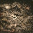 Wormwood