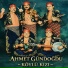 Ahmet Gündoğdu