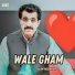 Alim Masroor