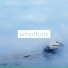 whatfunk