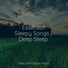 Pet Care Music Therapy, Deep Sleep, Sleep Waves