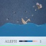 알레프 (ALEPH)