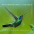 Neal Peres Da Costa, Orchestra of the Antipodes