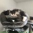 Titi l'amour des animaux