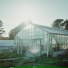The Glasshouse