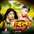 Krishna Yadav