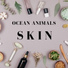 Ocean Animals