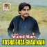 Wahid Mari
