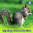 Hrudananda Sahoo