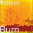Katteye