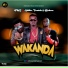 FME feat. Tomide, ATILLA SHAMAYAN, Bjshow