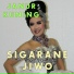 Janur Kuning