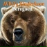 AVRO's Kinderkoor