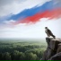 ZАРЯДЪ, ДОНБАZА