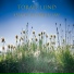 Toralf Lund feat. Ingrid Elise Andersen