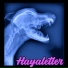 Hayaletler