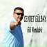 Cevdet Gülbay