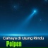 Polpen