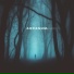 Skyfall Beats, Silent Anthem