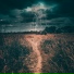 Nature Soundscape, ASMR Rain Sounds, Massage Music