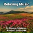 Sleep Music, Relaxing Music, Yoga
