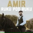 Amir Ibradzic