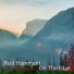 Paul Hammant