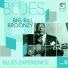 Big Bill Broonzy