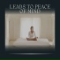 Zen Minds