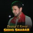 Sediq Shabab