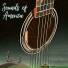 Guitacoustic