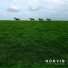 Norvin