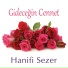 Hanifi Sezer