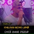 Cheb Amine Digeur
