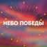 Васильки