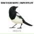 nBeats