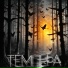 Темпера