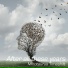 Minotaurus-Timeshift