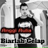 Anggi Aulia