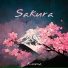 Kuma