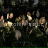 麻辣热可可