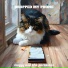 Moggy and the Parasites