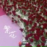 李梦浩