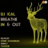 DJ Ical