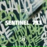 Sentinel 793