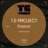 T.E Project